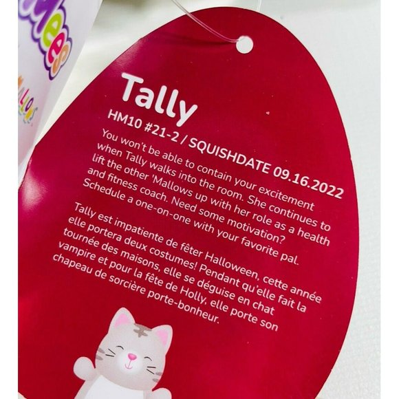 Squishmallows HugMees Tally Cat Plush 10" Gray Stuffed Animal - Picture 12 of 12